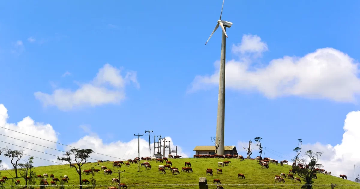 Gerador de energia eolica para empresas e fazendas