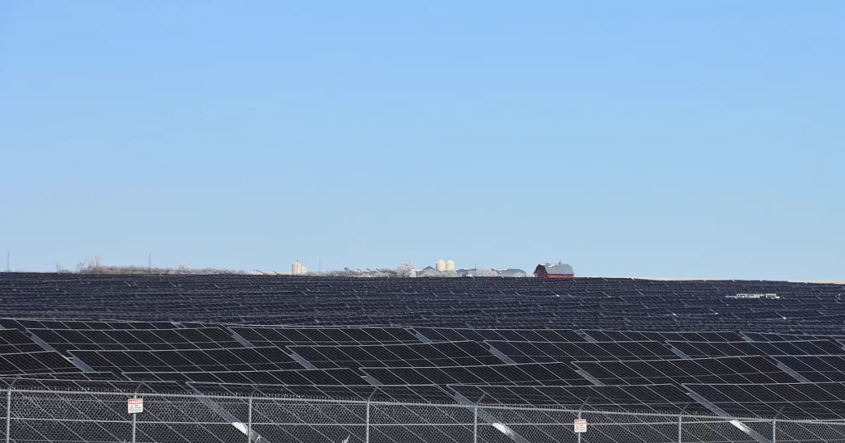 Newatt – Energia para empresas, fazendas e projetos especiais